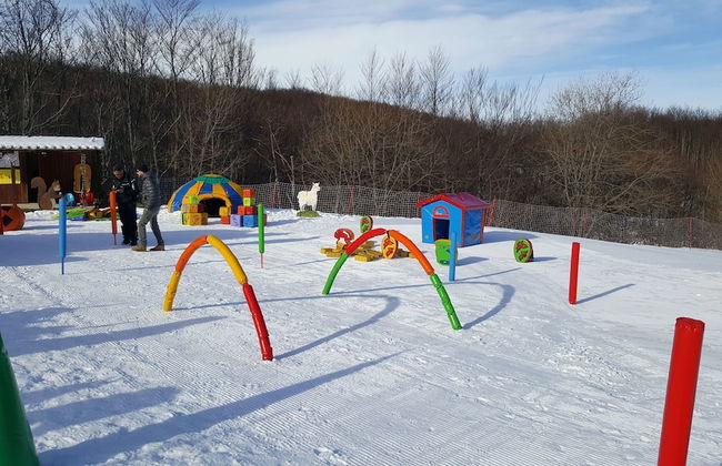 Residence Cimone - Foto 67