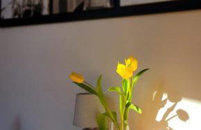 Have a nice stay in Rome 2 - Foto 6