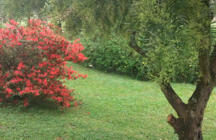 Recanto da Natureza- Chalé - Foto 46