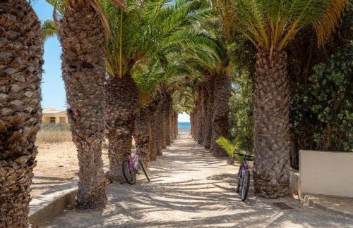 Oceano Azul - Foto 24