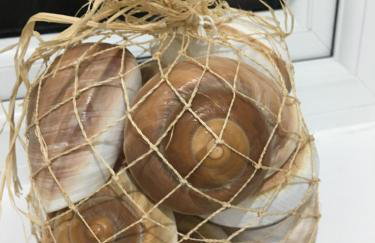 Ocean Drive BOUTIQUE Apartment Adults only Dog friendly - Foto 44