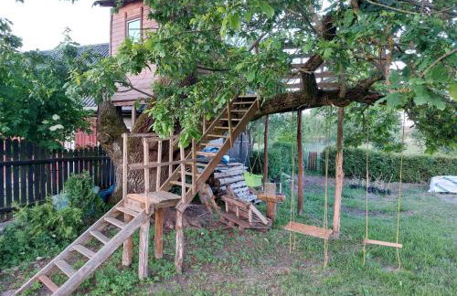 Agroturystyka Cisza Knyszyńska - Foto 14