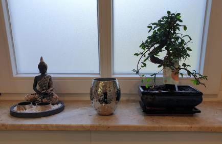 Lillys Garden - Foto 13