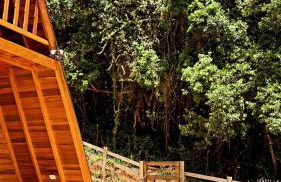 Chalé do Portal - Foto 15