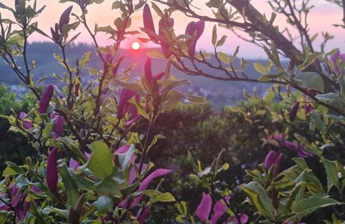 Kappler Nest - Foto 37