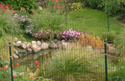 fewo-brigitte - Photo 12