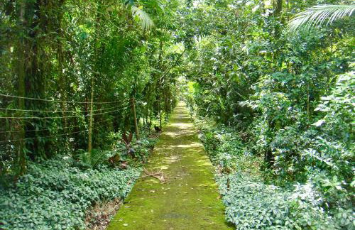 Casa Enorme para 12 pessoas, 4 suites e um fundo com 18mil metros de mata e um pier no rio que sai para o mar-Internet 100MB - Photo 46