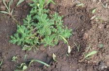 Casa do ti' Marrão - Photo 39