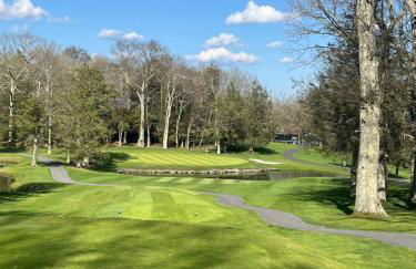 Beech Mountain Swiss-style Chalet - Foto 38