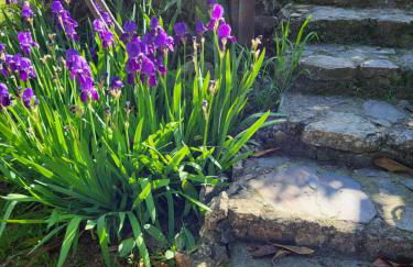 Location gîte dans le var - Foto 28