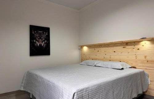 Hortênsias - Foto 10