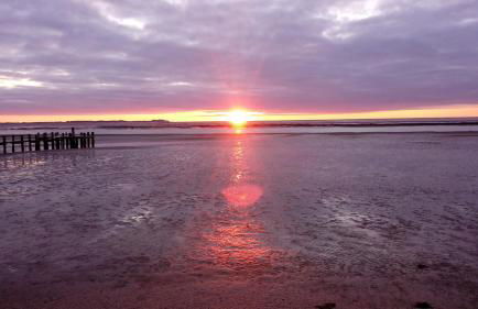 Das Rosenhaus - Photo 9