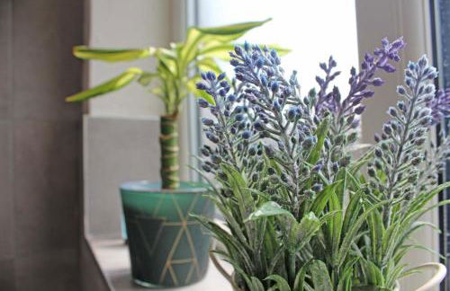 Recently Refurbished 3 Bedroom Home with Parking - Perfect for Longstays - Sleeps 8 - Photo 10