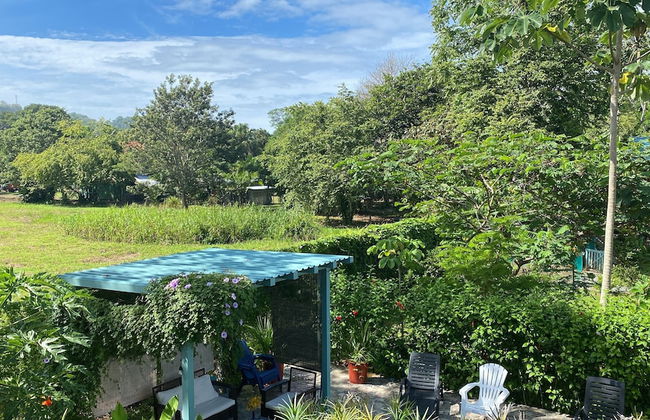 Morning Glory - Foto 42