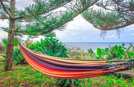 Apartments Finca El Rincón - Foto 45