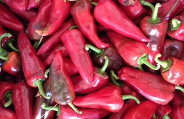 Agriturismo biologico 'A Lanterna - Foto 61