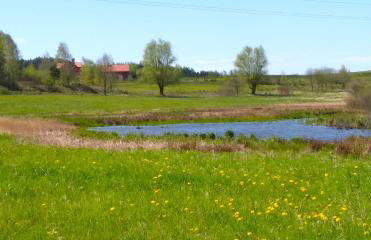 Ptasi Zakątek - Foto 35