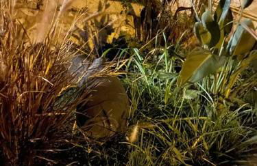 Magnifique vue sur la mer ... - Foto 68