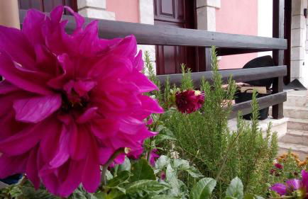 Mountain Ηouse in Arcadia - Foto 15