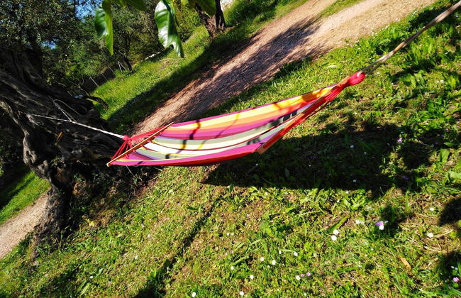 The Olive Garden House, on the North Coast of Corfu - Foto 47