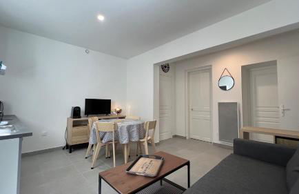 Appartement T2 40 M2 cosy RDC plein centre ville - Foto 21