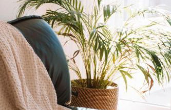 Just Like Home - Casinha da Vila em Caminha - Foto 12