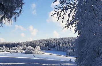 Ferienwohnung "An den Kurwiesen" - Foto 24