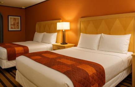 Gated 2 Double Beds Studio with Full Kitchen 106 - Foto 1