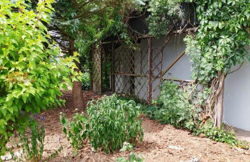 Mała Tyczkówka - Photo 4