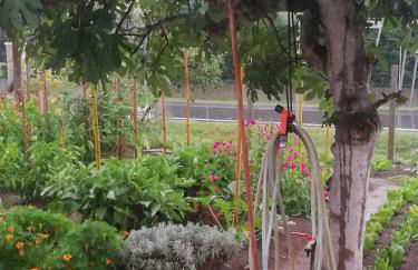 a casa di nonna Tarsilla-entire apartment,5 guests - Foto 51