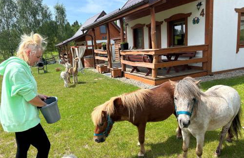 Domki Eden z Ballią - Foto 20