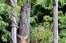 Palazzo 54 - Photo 15