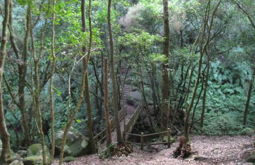 Apartamento Sol y Mar - Foto 26