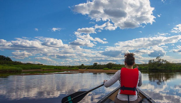 Canoeing Adventure in Rovaniemi Rivers - Photo 2