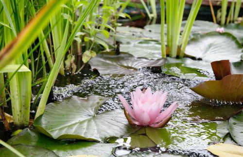 Small-residence - Foto 20