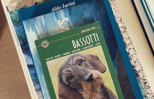 Maison del Bassotto - Photo 38