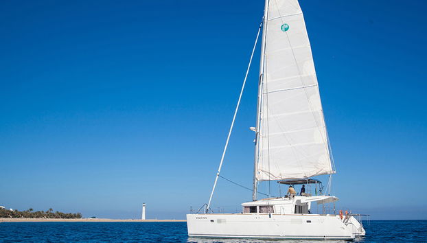 Expérience en Catamaran de Luxe Magique - Photo 3