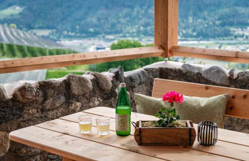 Trinnerhof- Hof Chalets und Obsthof - Photo 10