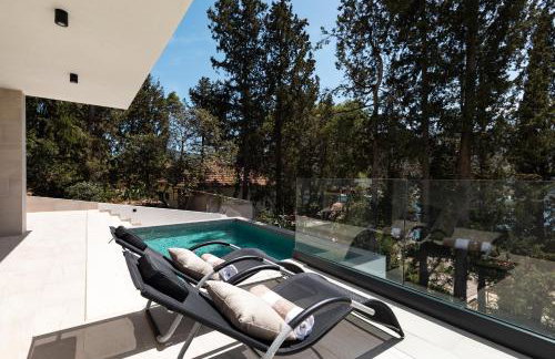 My seagull - Photo 64