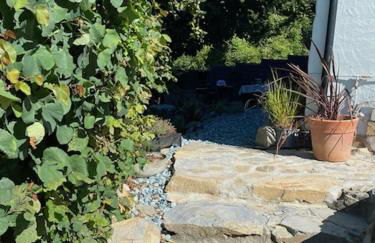 Sotto il fico - Foto 55