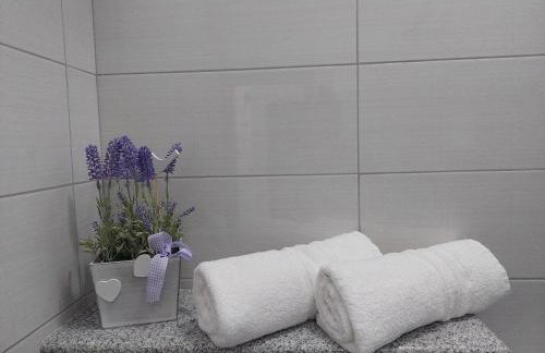 Lavandula - Photo 18