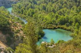 Duplex con terraza en Malaga - A - Photo 21