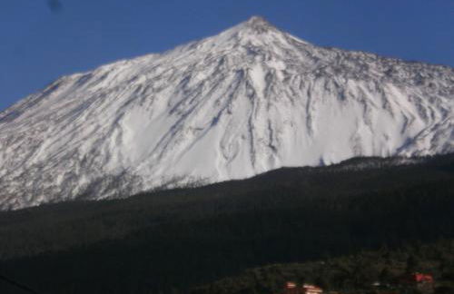 Finca las Palmeras - Foto 52