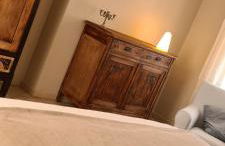 Musa Paradisiaca - Foto 26