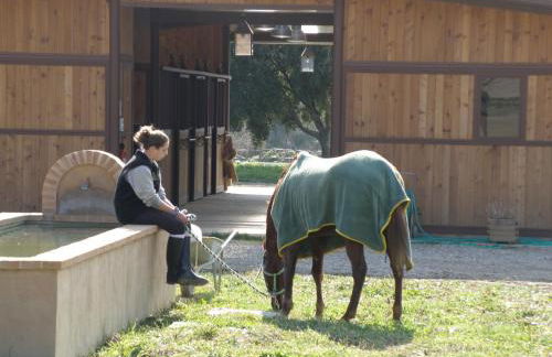 Tenuta il Sassone - Wine&Food - Foto 13