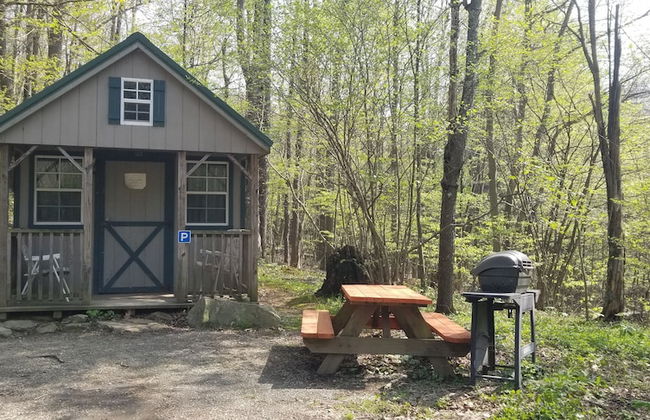 Abrams Creek Center - Foto 10