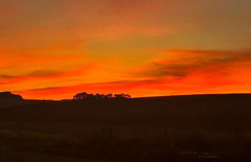 Keepers Cottage - Photo 38