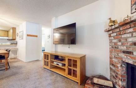 Summit Condominium #273 Condo - Foto 9