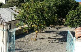 Lovely traditionnal house with sea view - Photo 42