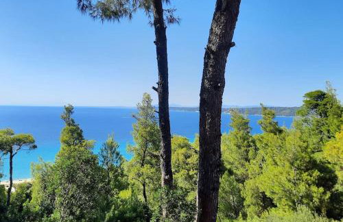 Spacious 3 bed house with sea view - Foto 1